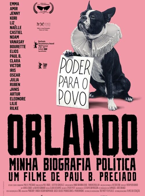 ORLANDO, MINHA BIOGRAFIA POLÍTICA