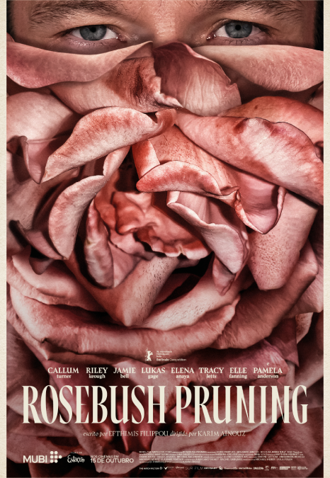 Rosebush Pruning